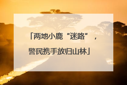 两地小鹿“迷路”，警民携手放归山林