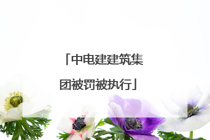 中电建建筑集团被罚被执行