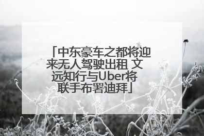 中东豪车之都将迎来无人驾驶出租 文远知行与Uber将联手布署迪拜