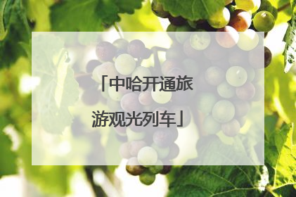 中哈开通旅游观光列车