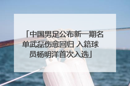 中国男足公布新一期名单武磊伤愈回归 入籍球员杨明洋首次入选