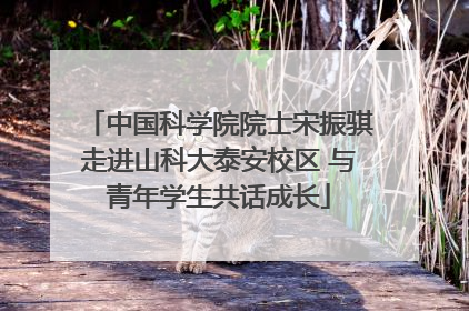 中国科学院院士宋振骐走进山科大泰安校区 与青年学生共话成长