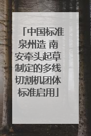 中国标准泉州造 南安牵头起草制定的多线切割机团体标准启用