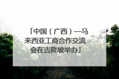 中国（广西）—马来西亚工商合作交流会在吉隆坡举办