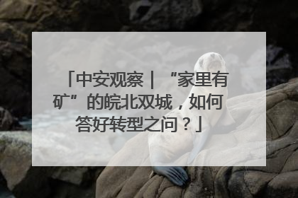 中安观察｜“家里有矿”的皖北双城，如何答好转型之问？