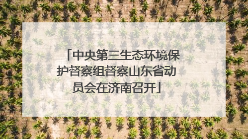 中央第三生态环境保护督察组督察山东省动员会在济南召开
