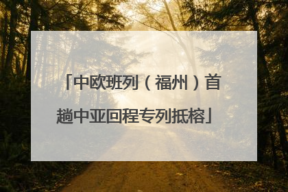 中欧班列（福州）首趟中亚回程专列抵榕