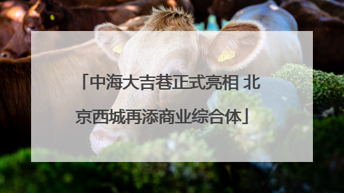 中海大吉巷正式亮相 北京西城再添商业综合体