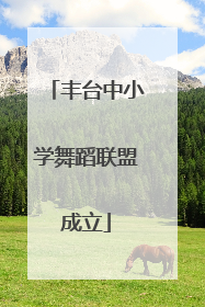丰台中小学舞蹈联盟成立