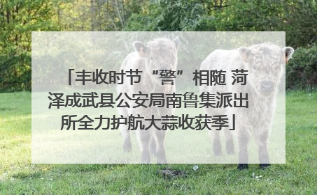 丰收时节“警”相随 菏泽成武县公安局南鲁集派出所全力护航大蒜收获季