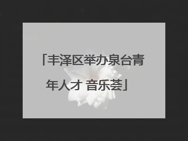 丰泽区举办泉台青年人才 音乐荟