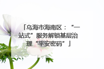 乌海市海南区：“一站式”服务解锁基层治理“平安密码”
