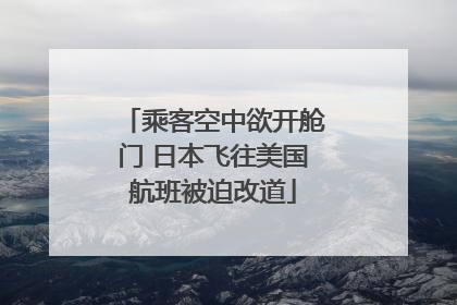 乘客空中欲开舱门 日本飞往美国航班被迫改道