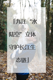 九江“水陆空”立体守护长江生态链