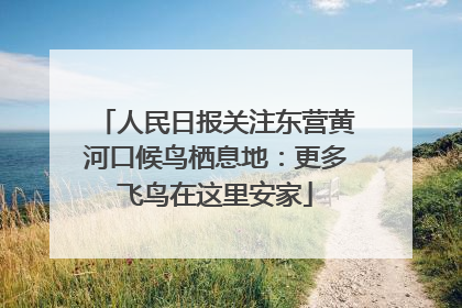 人民日报关注东营黄河口候鸟栖息地：更多飞鸟在这里安家