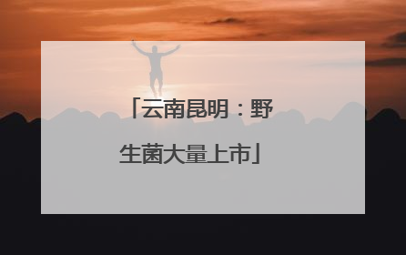 云南昆明：野生菌大量上市