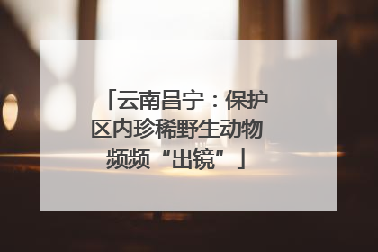 云南昌宁：保护区内珍稀野生动物频频“出镜”