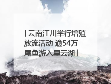 云南江川举行增殖放流活动 逾54万尾鱼游入星云湖