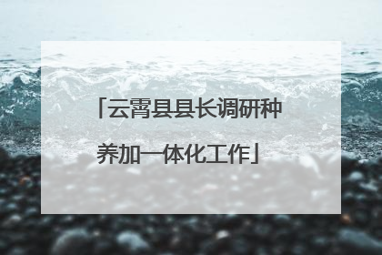 云霄县县长调研种养加一体化工作