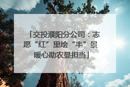交投濮阳分公司：志愿“红”里绘“丰”景 暖心助农显担当