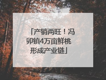 产销两旺！冯卯镇4万亩鲜桃形成产业链