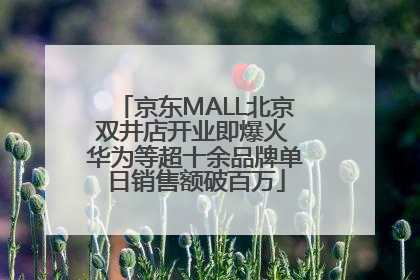 京东MALL北京双井店开业即爆火 华为等超十余品牌单日销售额破百万