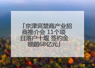 京津冀楚商产业招商推介会 11个项目落户十堰 签约金额超68亿元