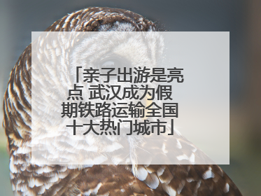 亲子出游是亮点 武汉成为假期铁路运输全国十大热门城市