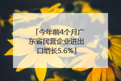 今年前4个月广东省民营企业进出口增长5.6%