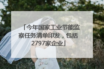 今年国家工业节能监察任务清单印发，包括2797家企业