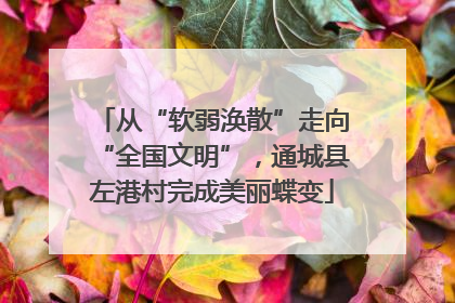 从“软弱涣散”走向“全国文明”，通城县左港村完成美丽蝶变
