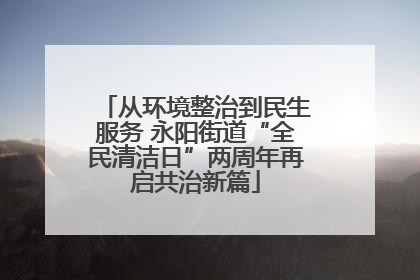 从环境整治到民生服务 永阳街道“全民清洁日”两周年再启共治新篇