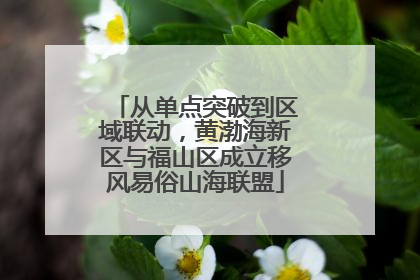 从单点突破到区域联动，黄渤海新区与福山区成立移风易俗山海联盟
