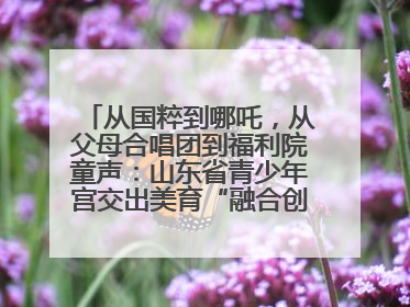 从国粹到哪吒，从父母合唱团到福利院童声：山东省青少年宫交出美育“融合创新”答卷