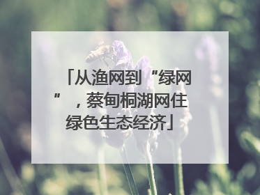 从渔网到“绿网”，蔡甸桐湖网住绿色生态经济
