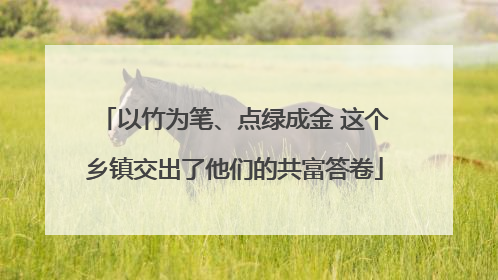 以竹为笔、点绿成金 这个乡镇交出了他们的共富答卷