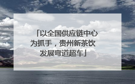 以全国供应链中心为抓手，贵州新茶饮发展弯道超车