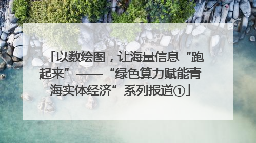 以数绘图，让海量信息“跑起来”——“绿色算力赋能青海实体经济”系列报道①