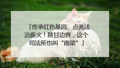 传承红色基因、点亮法治薪火！陕甘边界，这个司法所也叫“南梁”