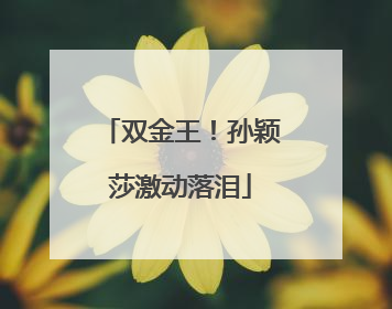 双金王！孙颖莎激动落泪