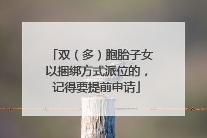 双（多）胞胎子女以捆绑方式派位的，记得要提前申请