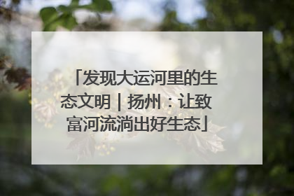 发现大运河里的生态文明｜扬州：让致富河流淌出好生态