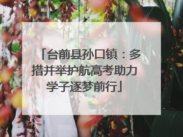 台前县孙口镇：多措并举护航高考助力学子逐梦前行