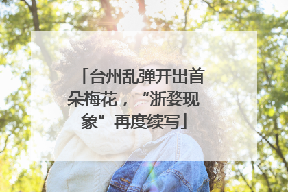 台州乱弹开出首朵梅花，“浙婺现象”再度续写