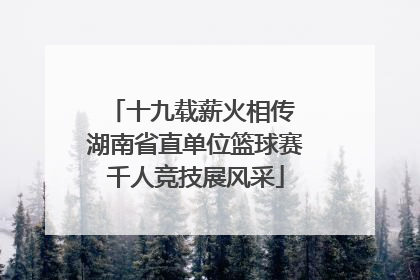 十九载薪火相传 湖南省直单位篮球赛千人竞技展风采