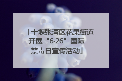 十堰张湾区花果街道开展“6·26”国际禁毒日宣传活动