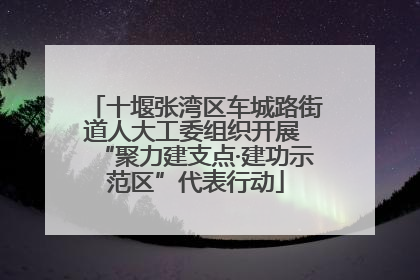 十堰张湾区车城路街道人大工委组织开展 “聚力建支点·建功示范区”代表行动