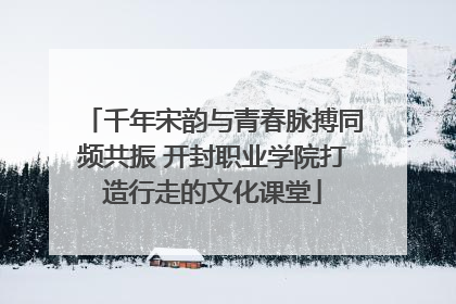 千年宋韵与青春脉搏同频共振 开封职业学院打造行走的文化课堂