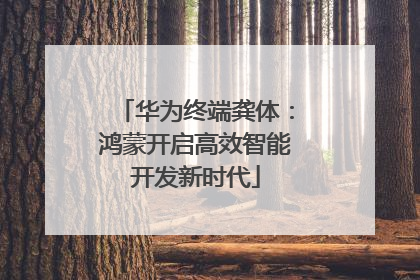华为终端龚体：鸿蒙开启高效智能开发新时代