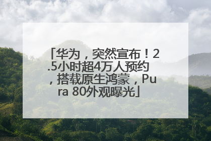 华为，突然宣布！2.5小时超4万人预约，搭载原生鸿蒙，Pura 80外观曝光